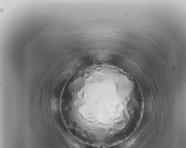 X0000060770135200511171223