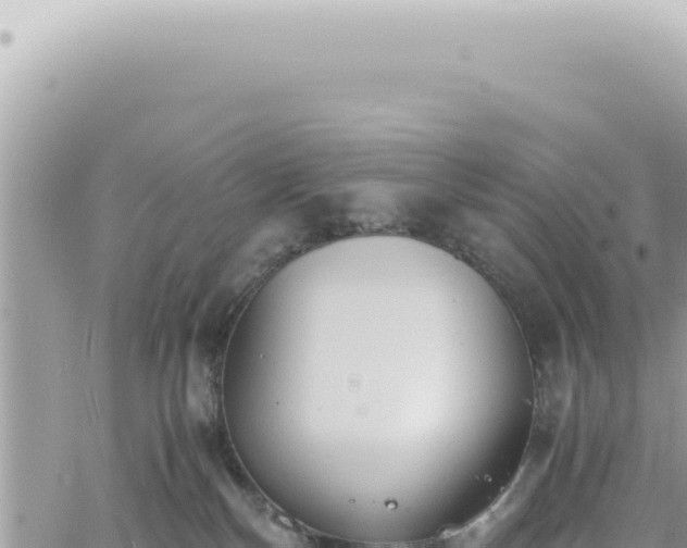 X0000060770136200511171223