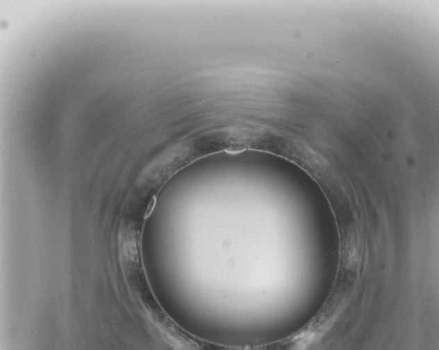 X0000060770137200511171223