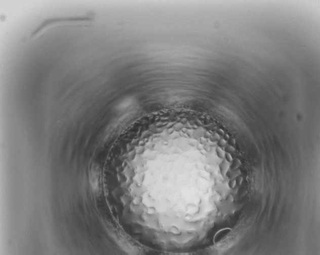 X0000060770138200511171223