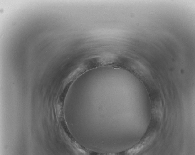 X0000060770139200511171223