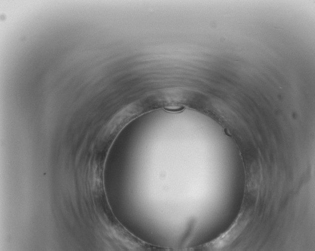 X0000060770140200511171223