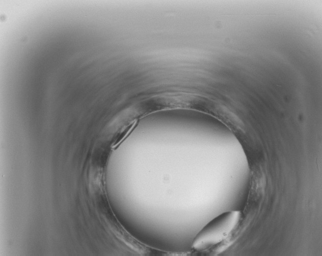 X0000060770141200511171223