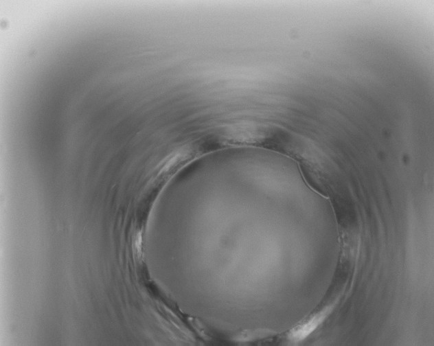 X0000060770143200511171223