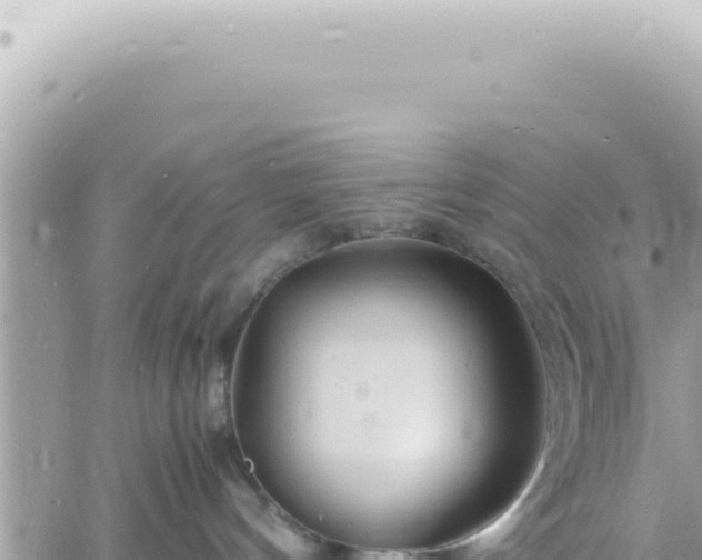 X0000060770144200511171223