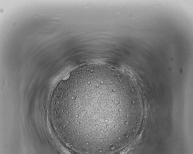 X0000060770145200511171222