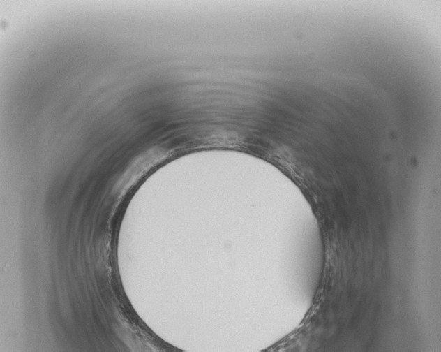 X0000060770146200511171222