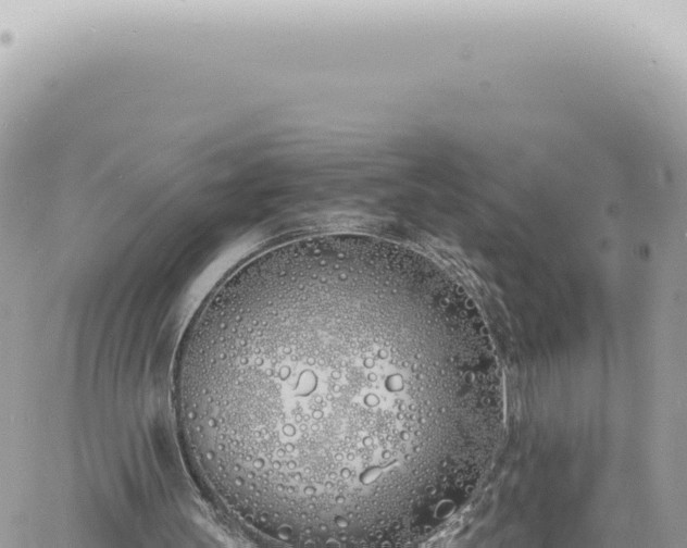 X0000060770147200511171222