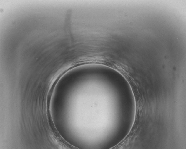 X0000060770148200511171222