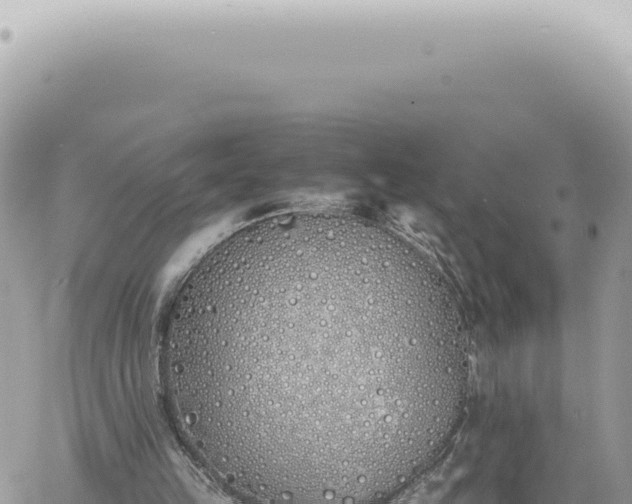 X0000060770149200511171222