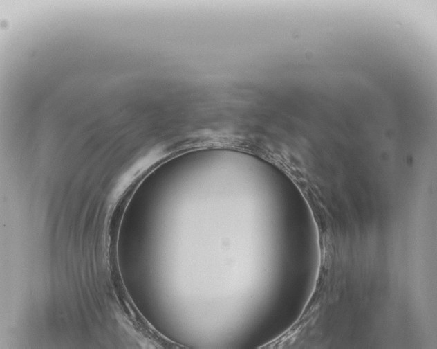 X0000060770150200511171222