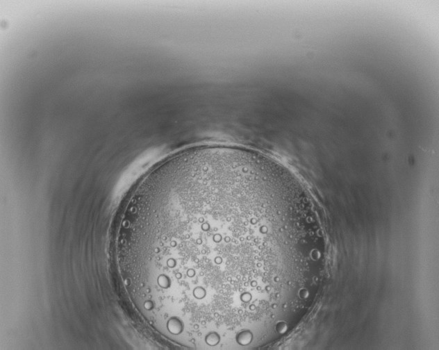 X0000060770151200511171222