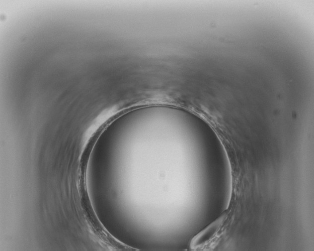 X0000060770152200511171222