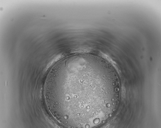 X0000060770153200511171222