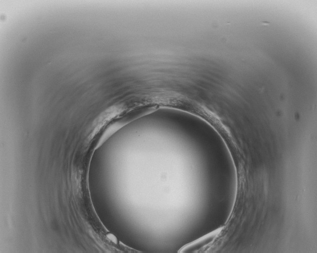 X0000060770154200511171222