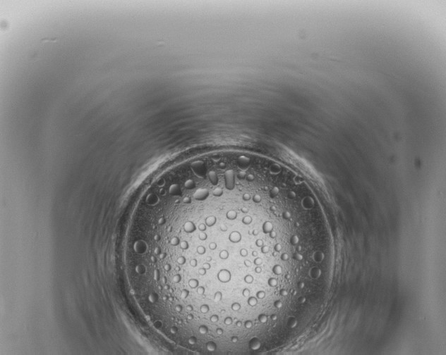 X0000060770155200511171222