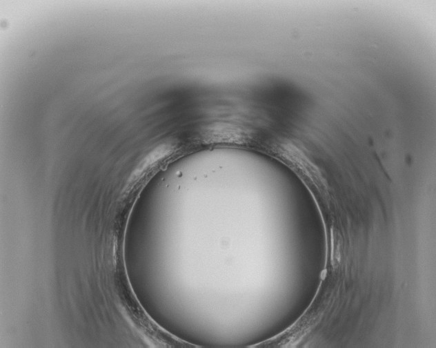 X0000060770157200511171222