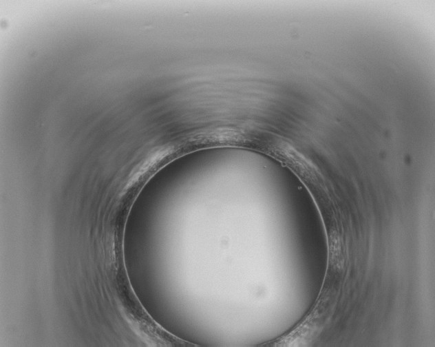 X0000060770158200511171222