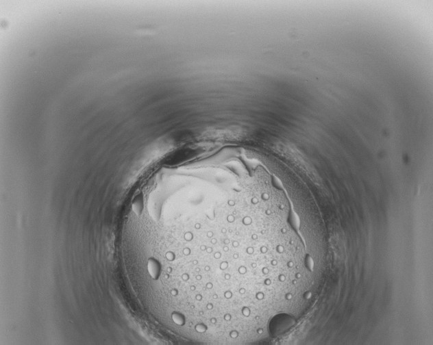 X0000060770159200511171222