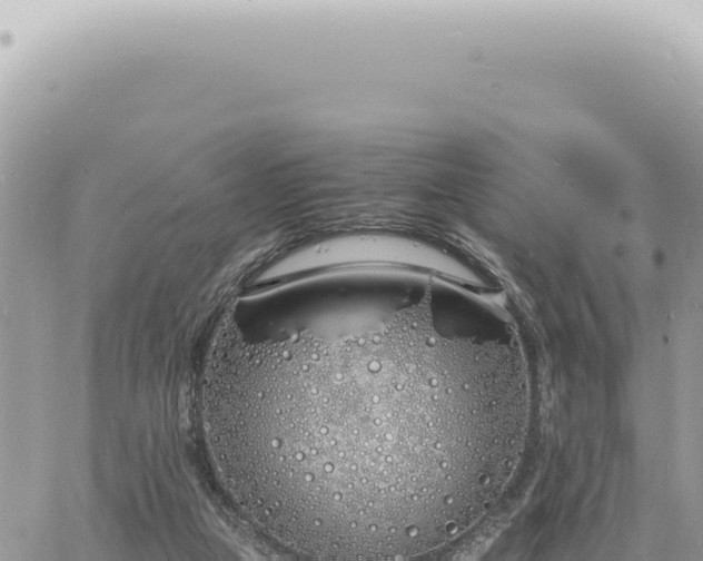 X0000060770161200511171222