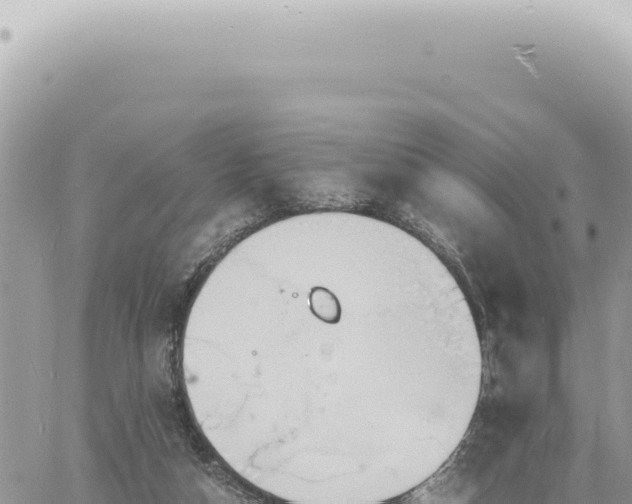 X0000060770162200511171222