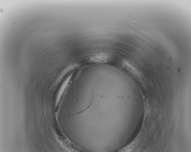 X0000060770163200511171222