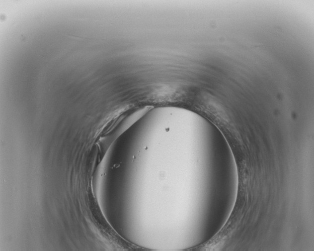 X0000060770164200511171222