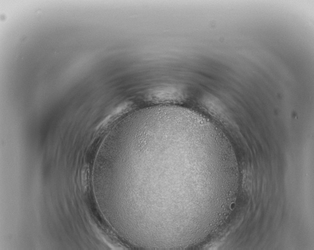 X0000060770165200511171222