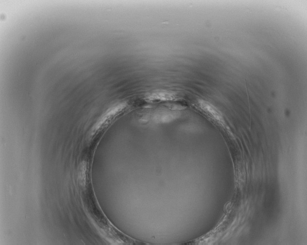 X0000060770167200511171222