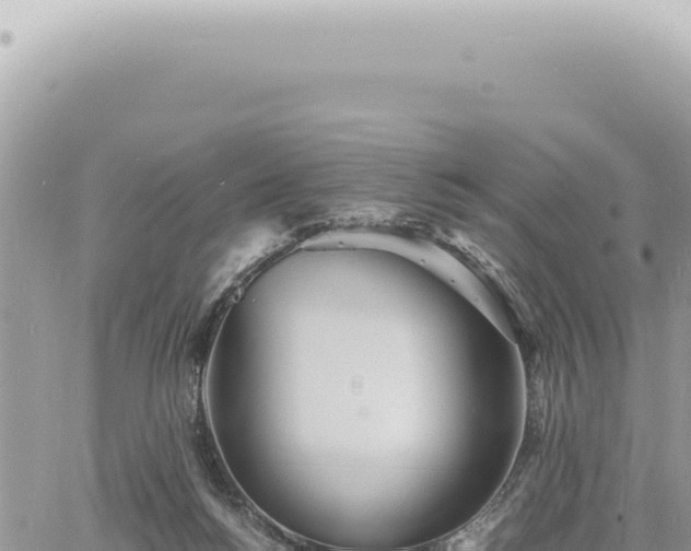 X0000060770168200511171222