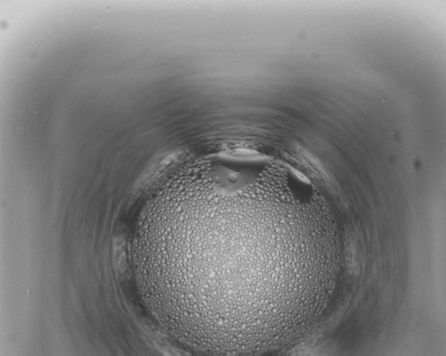 X0000060770169200511171222