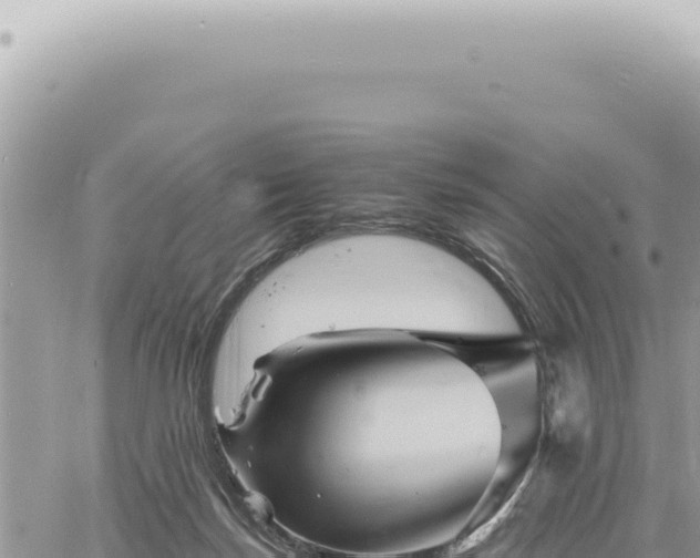 X0000060770171200511171222