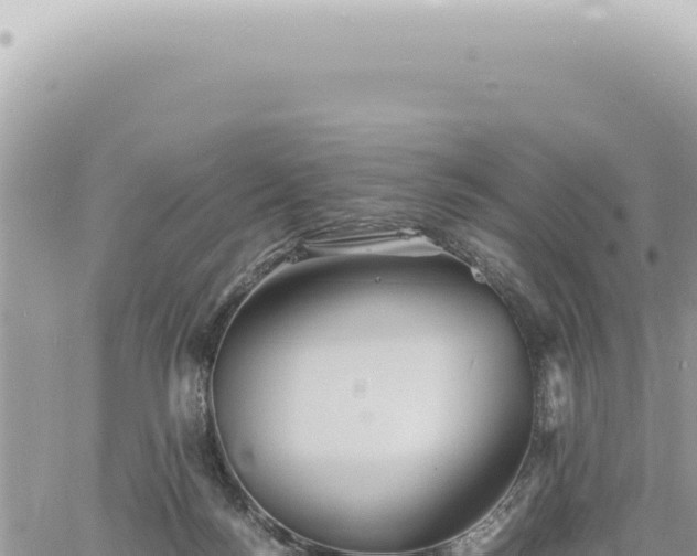 X0000060770172200511171222