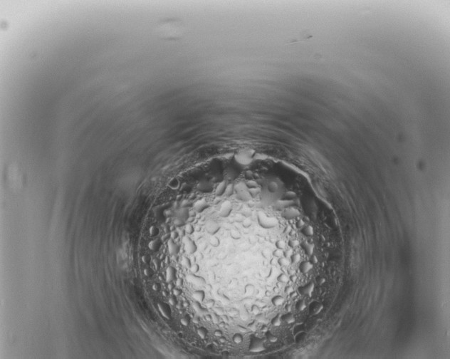 X0000060770173200511171222