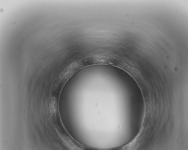 X0000060770174200511171222