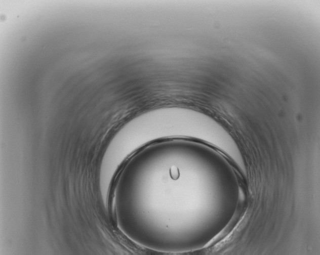 X0000060770175200511171222