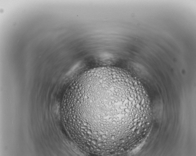 X0000060770178200511171222