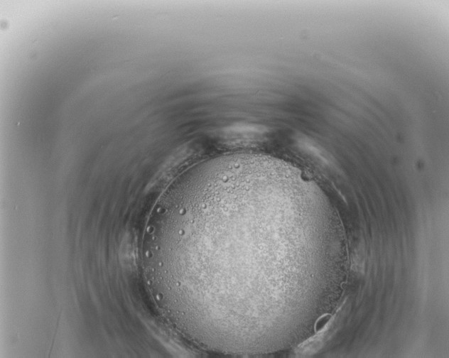 X0000060770179200511171222