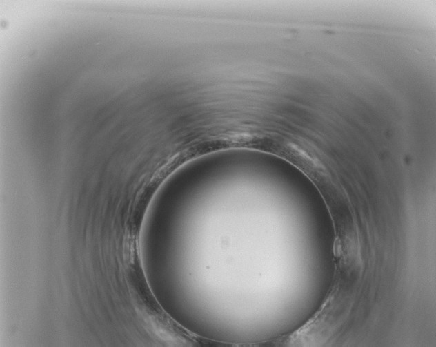 X0000060770180200511171222