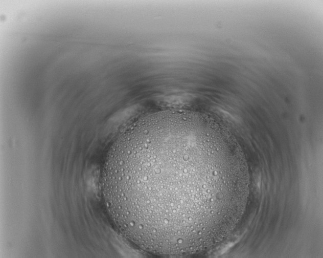 X0000060770181200511171222