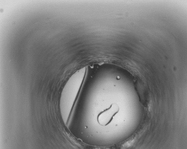 X0000060770185200511171223