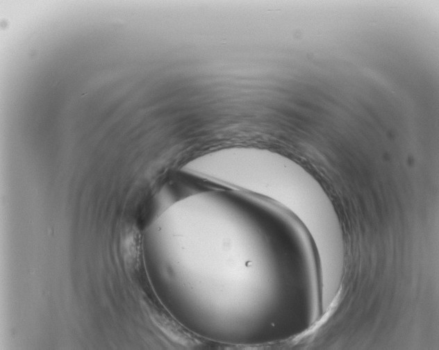 X0000060770186200511171223