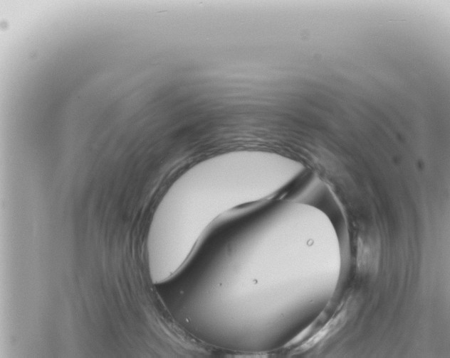 X0000060770188200511171223