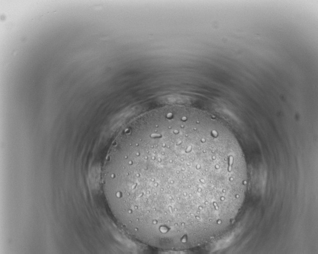 X0000060770189200511171223