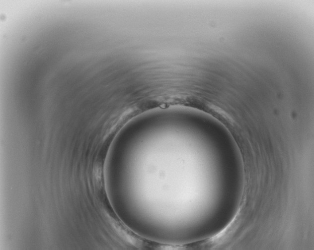 X0000060770192200511171223