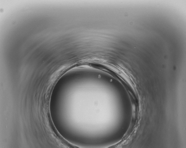 X0000060770193200511171222