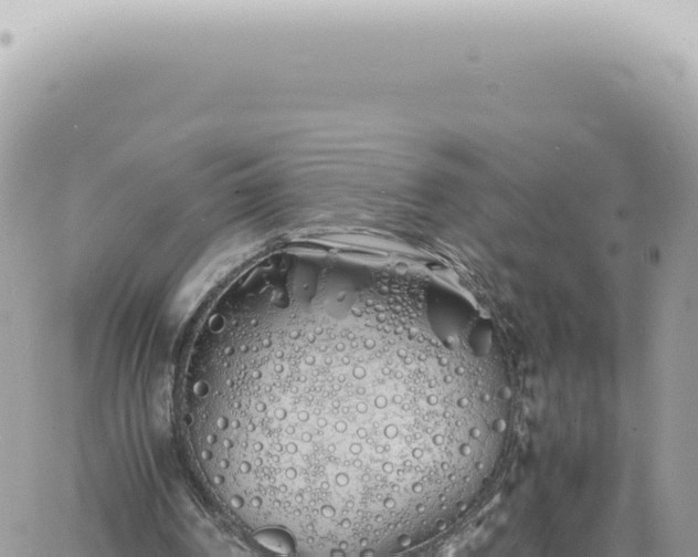 X0000060770194200511171222