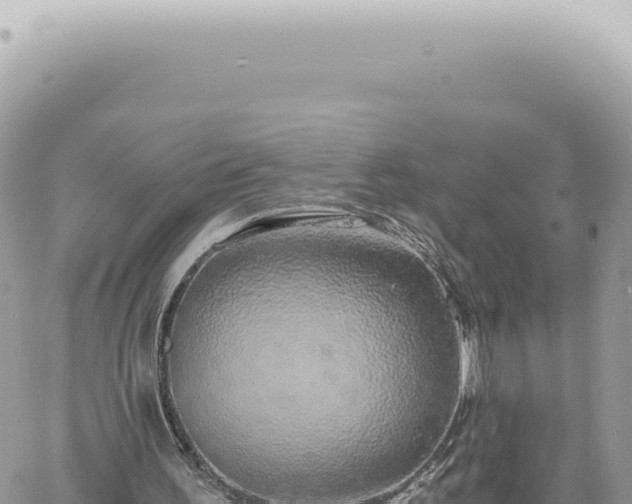 X0000060770195200511171222