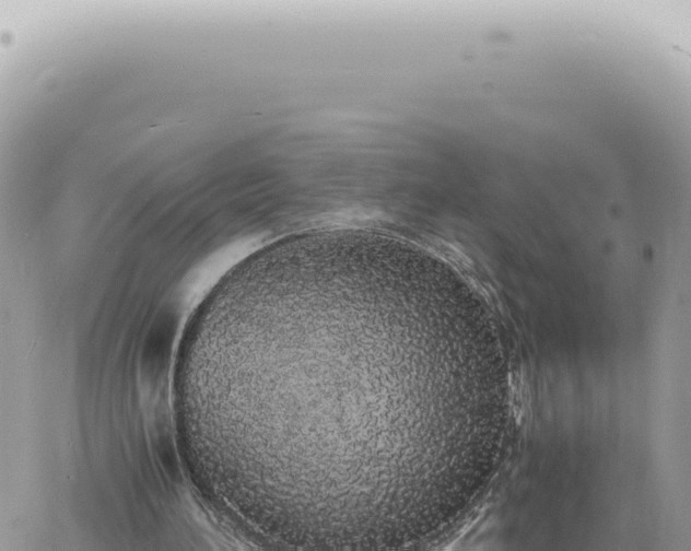 X0000060770196200511171222