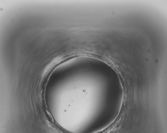 X0000060770197200511171222